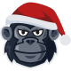 Information of DeFi assets by Ape Space